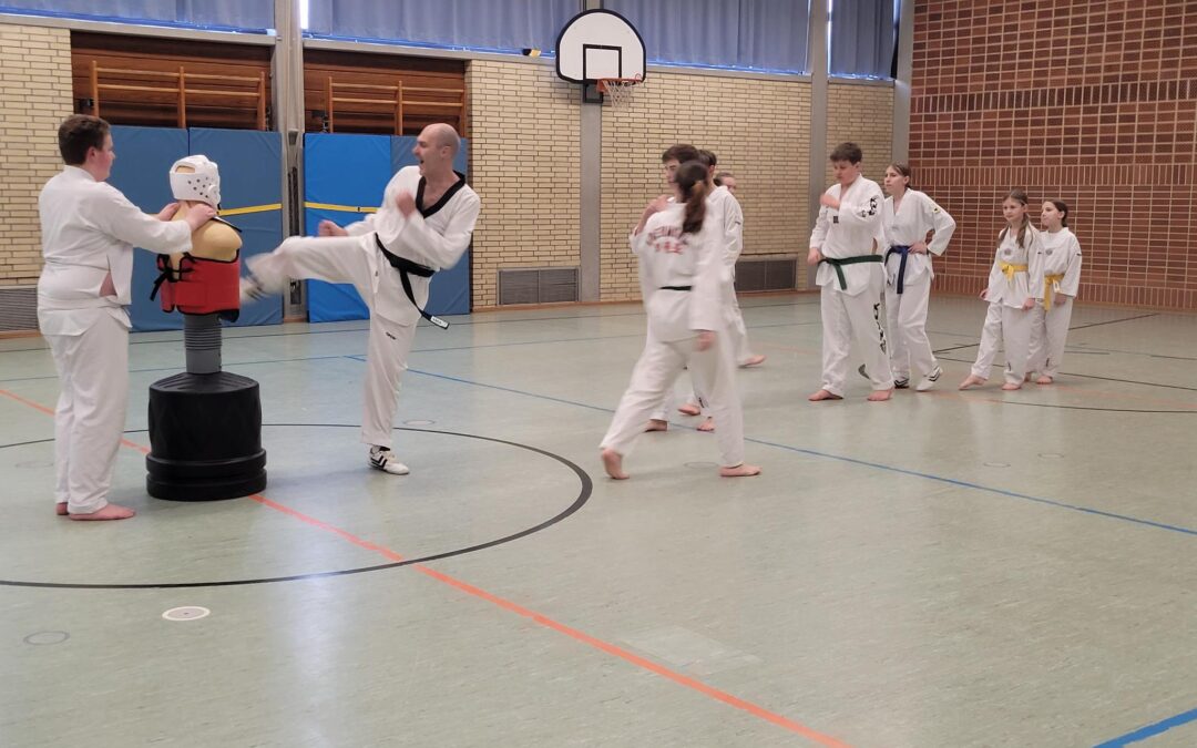 Warum nicht mal….. Taekwondo ?