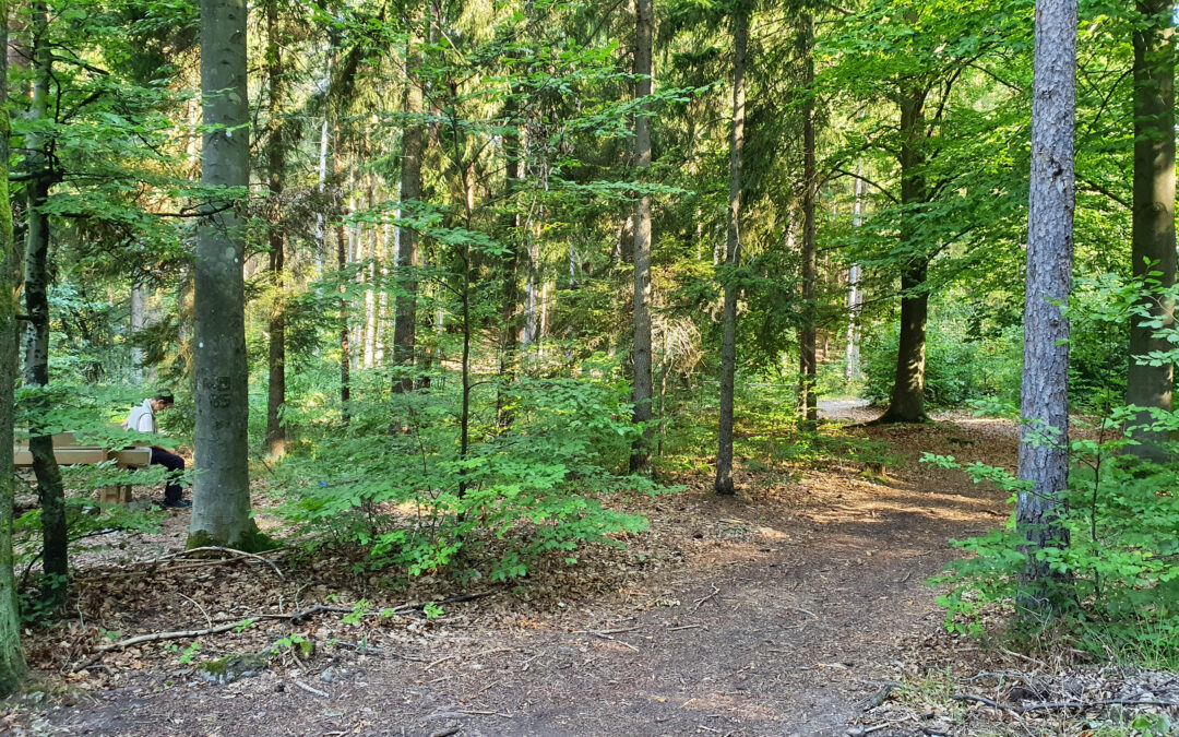 Tour 17 Grenzerpfad