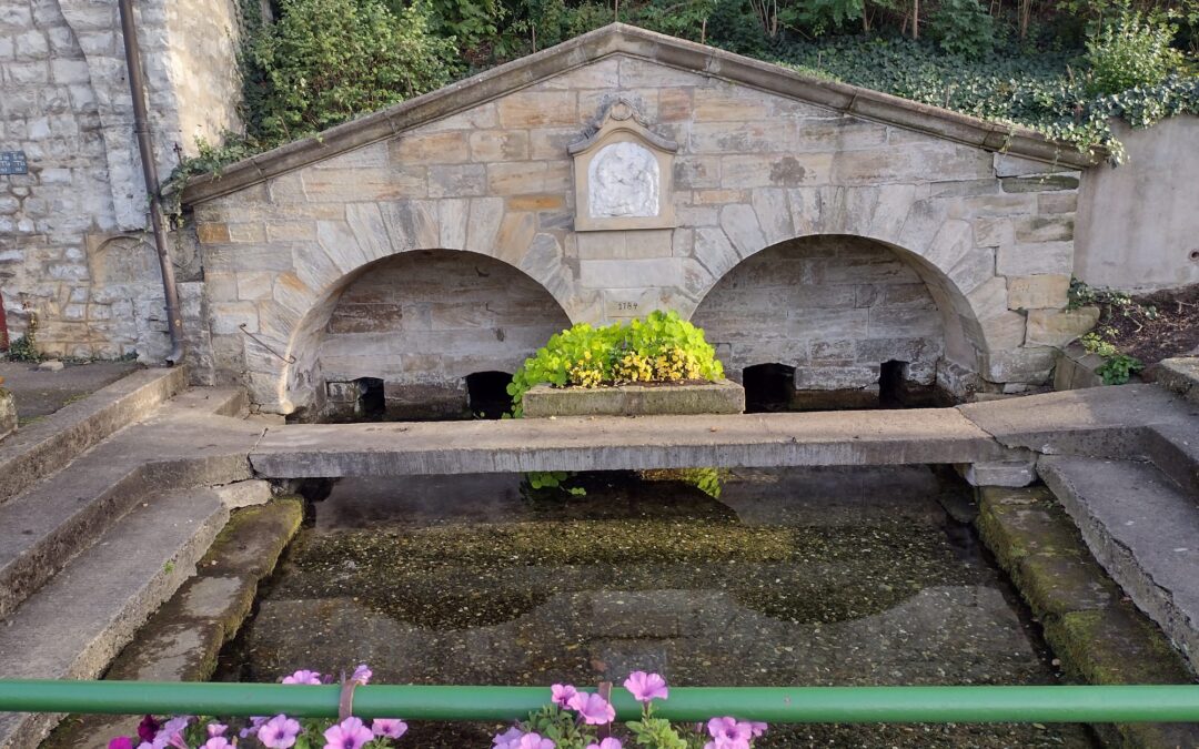 Tour 21  Am Main zum „Schönen Brunnen“